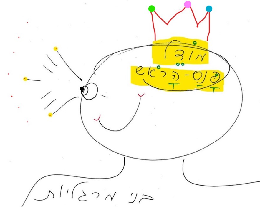 מודל פנס הראש