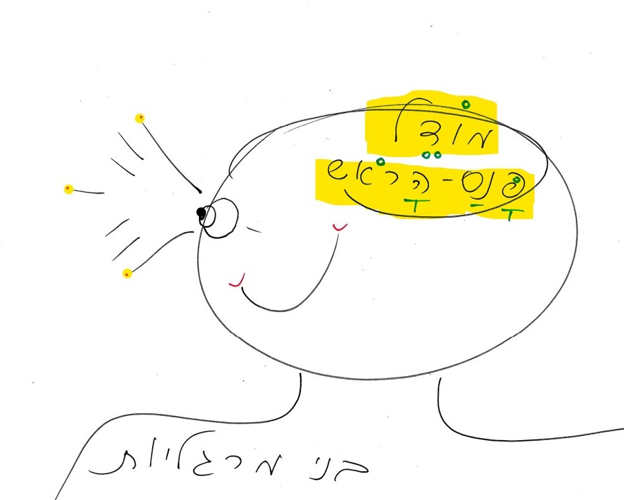 מודל פנס הראש